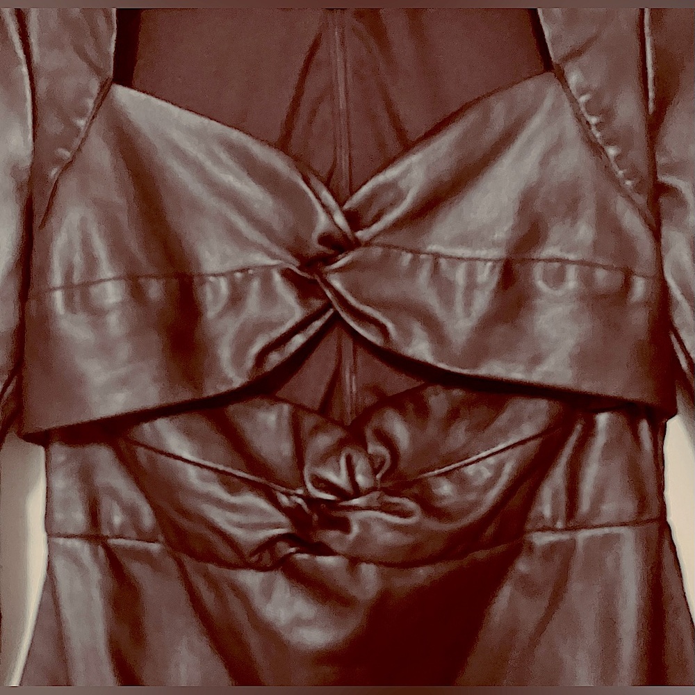 Faux Leather Raisin ColorTwist Mini Dress from One33 Social/Long Sleeve/Size 8 - Picture 7 of 10